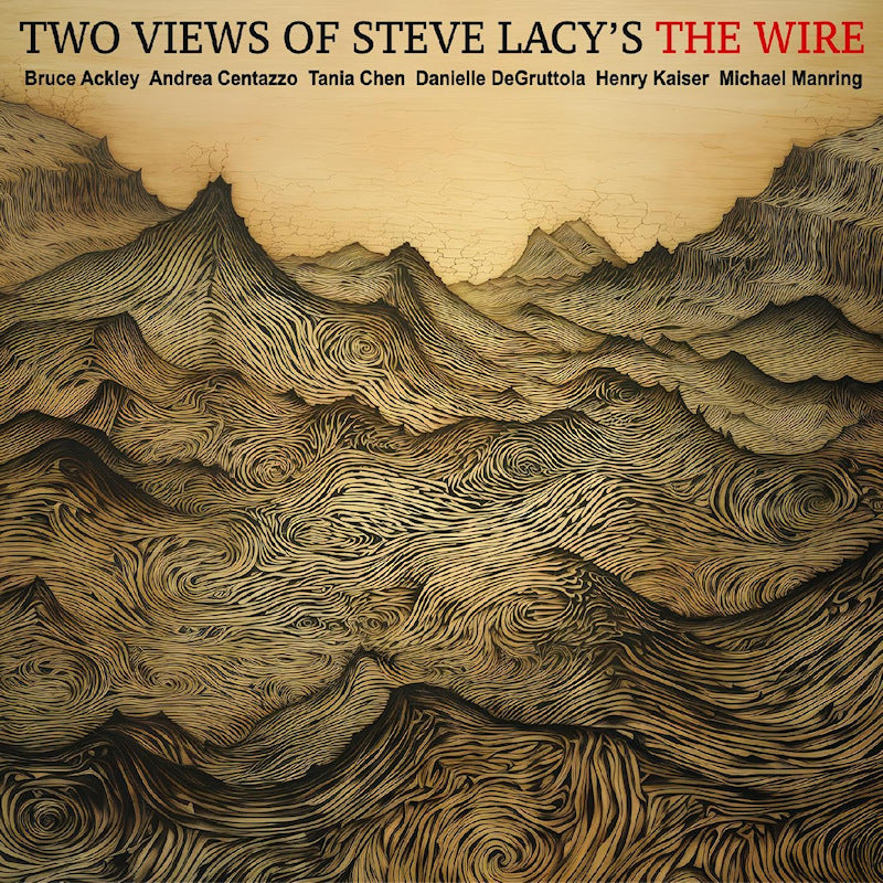 Bruce Ackley & Andrea Centazzo & Tania Chen & Dan - Two views of steve lacys the wire (CD)