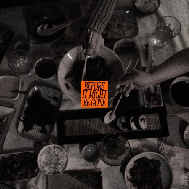 Vices, The - Before It Might Be Gone (Deluxe) (10-inch)
