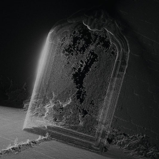 Visible Cloaks - Paradessence (silver) (LP)
