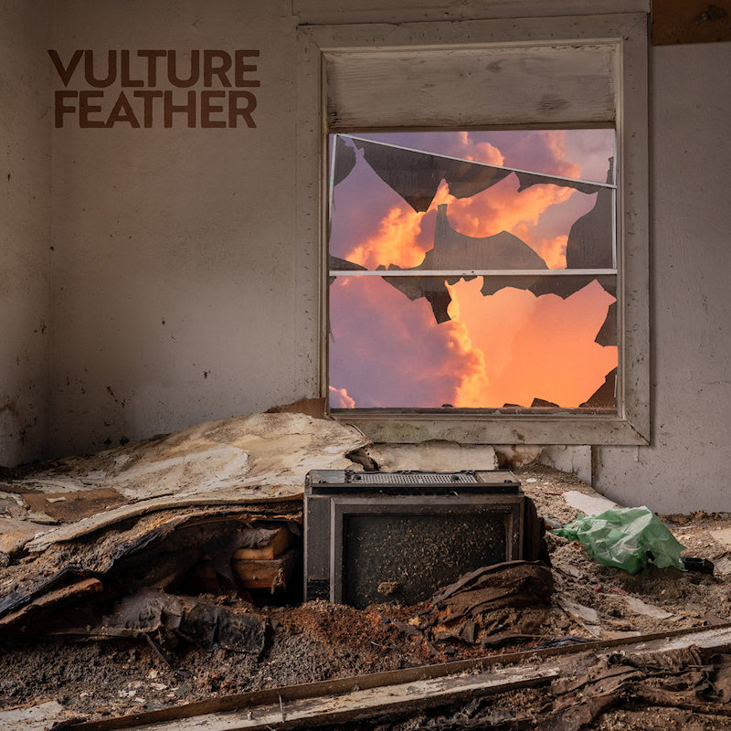 Vulture Feather - It will be like now (rose) (Pink, Coloured Vinyl LP)