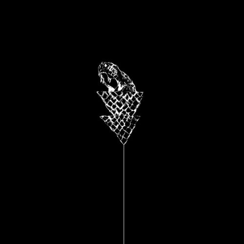 Wetware - Flail (-Clear Vinyl-, Coloured Vinyl LP)