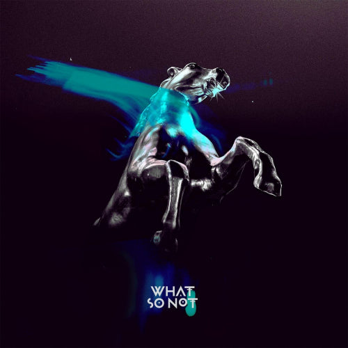 What So Not - Not all the beautiful things (CD)