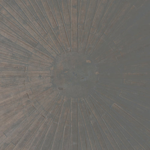William Basinski & Lawrence English - Selva obscura (LP)