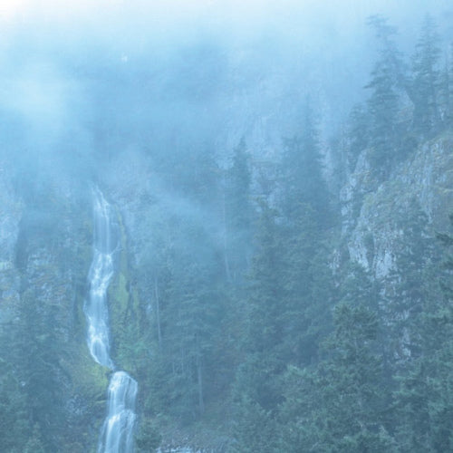 Wolves In The Throne Room - Diadem of 12 stars (Gatefold/Printed Inner Sleeves/Download Card/Reissue, Gatefold Sleeve LP)