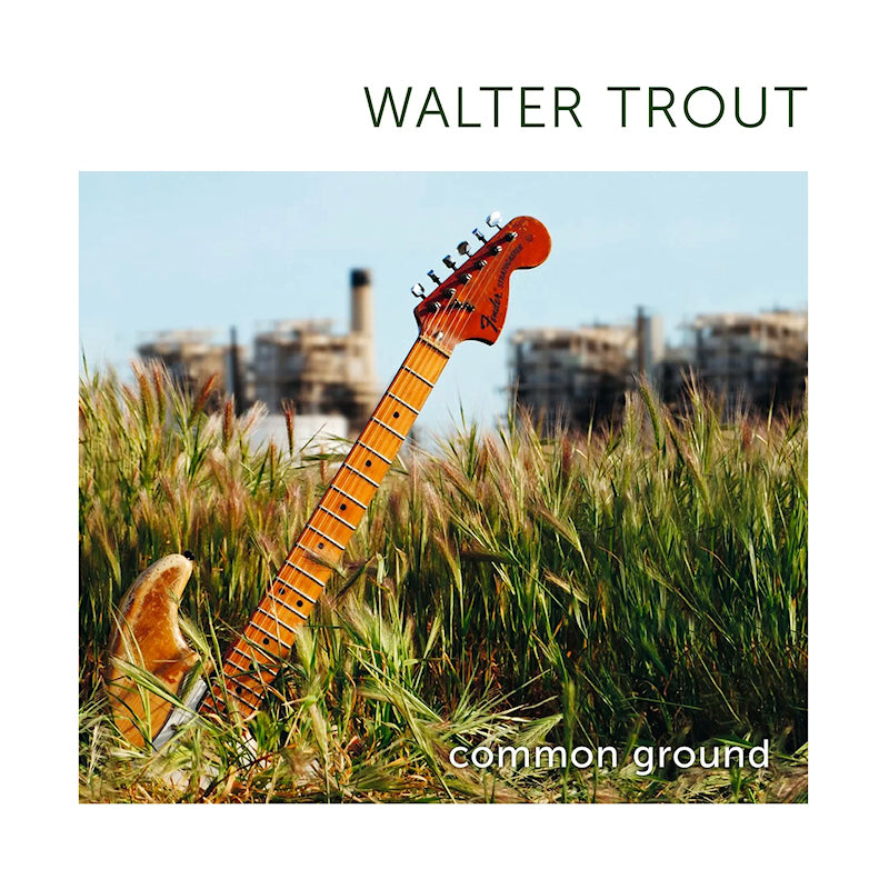 Walter Trout - Common ground (Translucent Green, High Quality, Transparent, Coloured Vinyl, Insert, Anniversary Edition LP)
