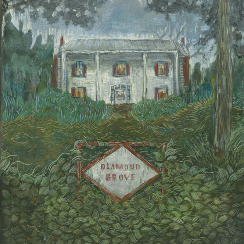 Weirs - Diamond grove (LP)