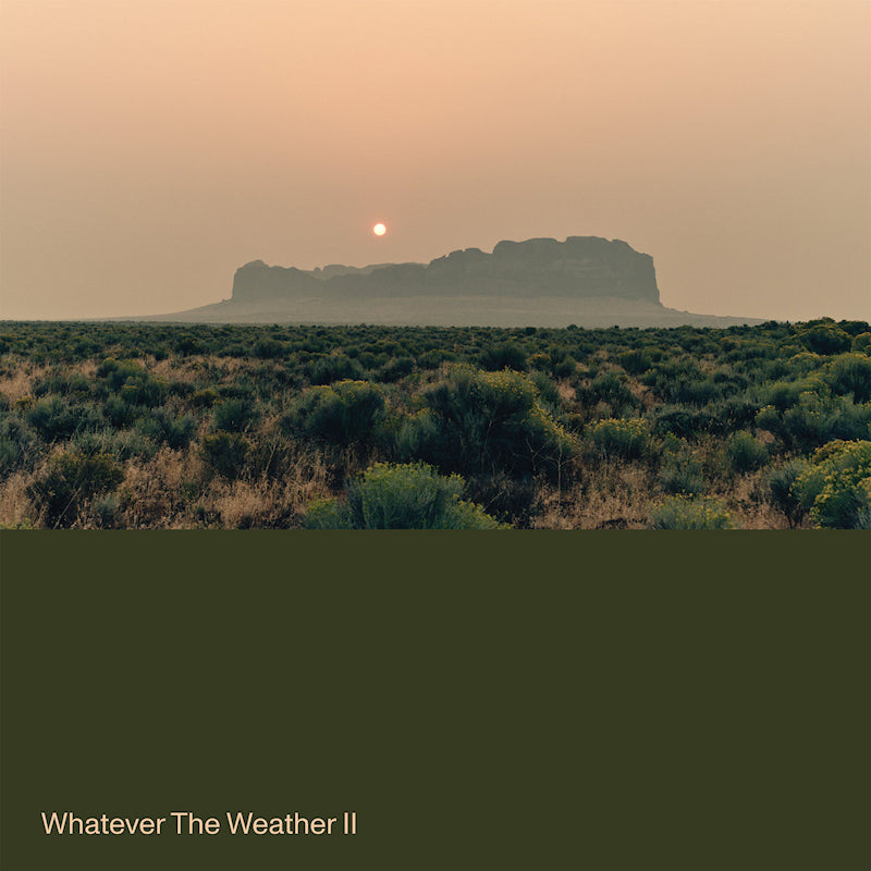 Whatever The Weather - Wahatever the weather ii (dark green) (Dark Green LP)