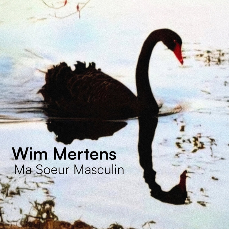 Wim Mertens - Ma soeur masculin (CD)