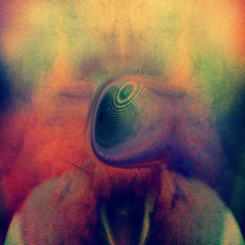 Young Magic - Melt (CD)