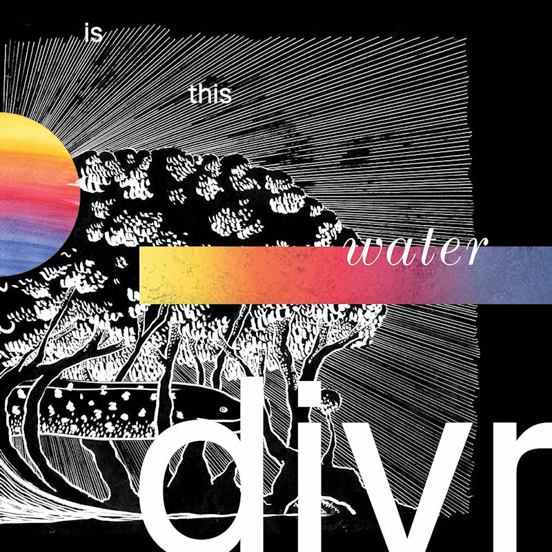 divr - Is this water (CD)