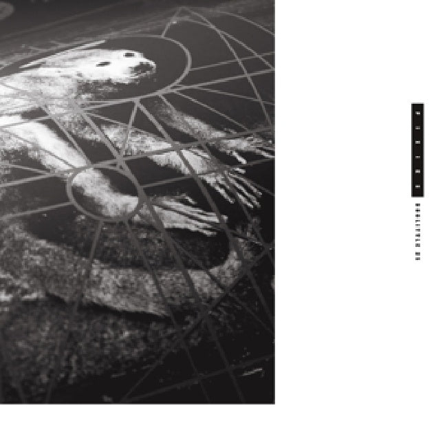 Pixies - Doolittle 25 (25th Anniversary 2lp LP)