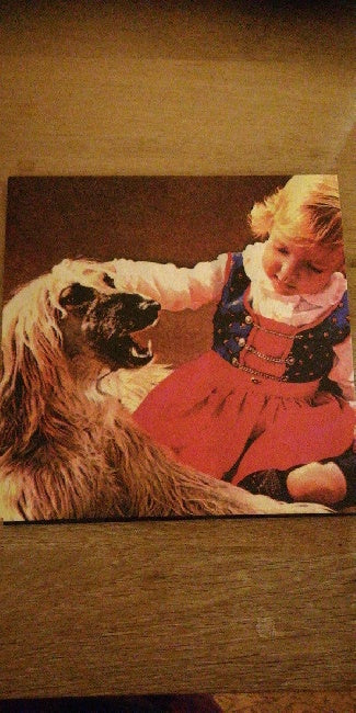 Benjamin B. - Benjamin b. (LP)