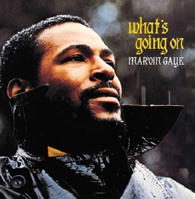 Gaye, Marvin - What's going on + 2 (1112005 CD)