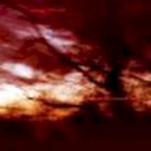 Colour Haze - Ewige blumenkraft (CD)