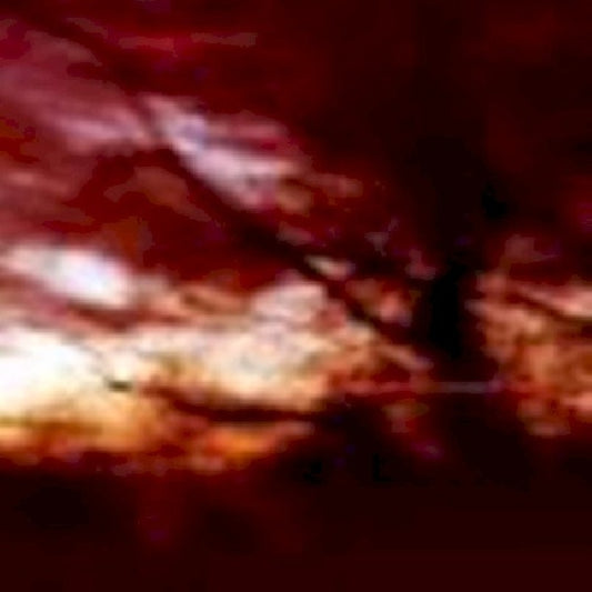 Colour Haze - Ewige blumenkraft (CD)