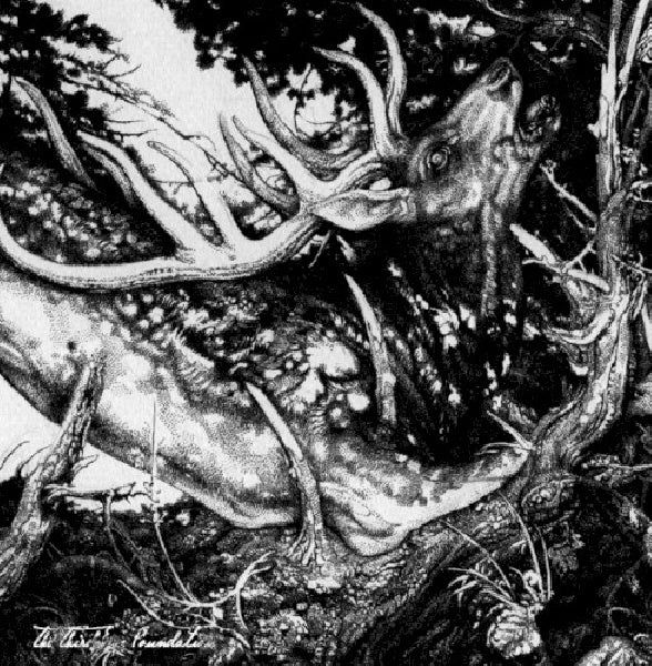 Third Eye Foundation - Dark (CD)