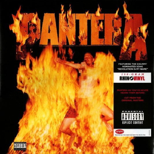 Pantera - Reinventing the steel - 20 anniversary (LP)
