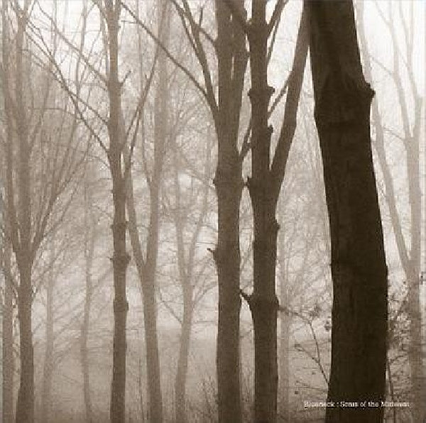 Blueneck - Scars of the midwest (Debut Reissue On 180gr Vinyl, High Quality LP)