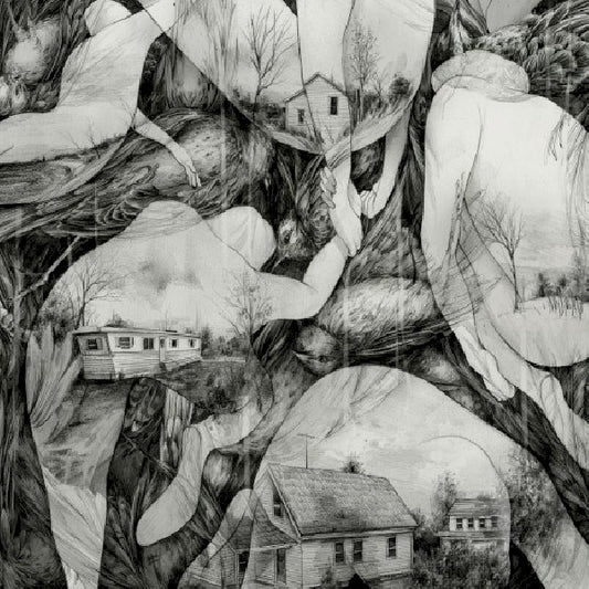 Mono - Rays of darkness (LP)