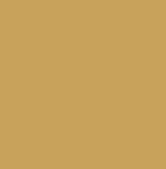 Conrad Schnitzler - Gold (Song Collection, Recorded Between 1976 and 1978 CD)