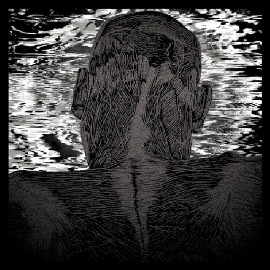 Asher Levitas - Lit harness (CD)