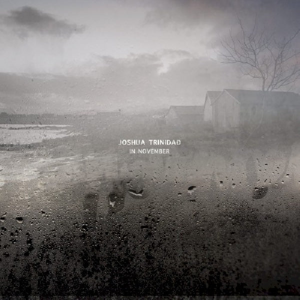 Joshua Trinidad - In november (CD)