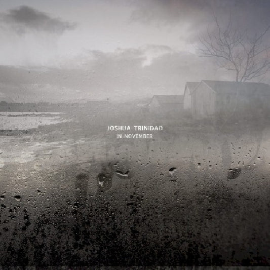 Joshua Trinidad - In november (CD)