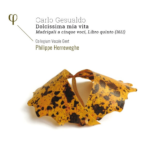 Collegium Vocale Gent / Philippe Herreweghe - Gesualdo: madrigali a 5 voci, libro quinto (1611) (.. Voci, Libro Quinto (1611) / Akl 21 CD)