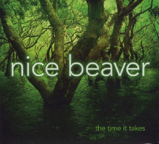 Nice Beaver - Time it takes (Dutch Progressive Rock Group CD)