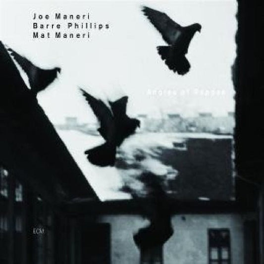 Joe Maneri & Mat / Barre Phillips - Angles of repose (Joe Maneri,Barre Phillips & Mat Maneri CD)