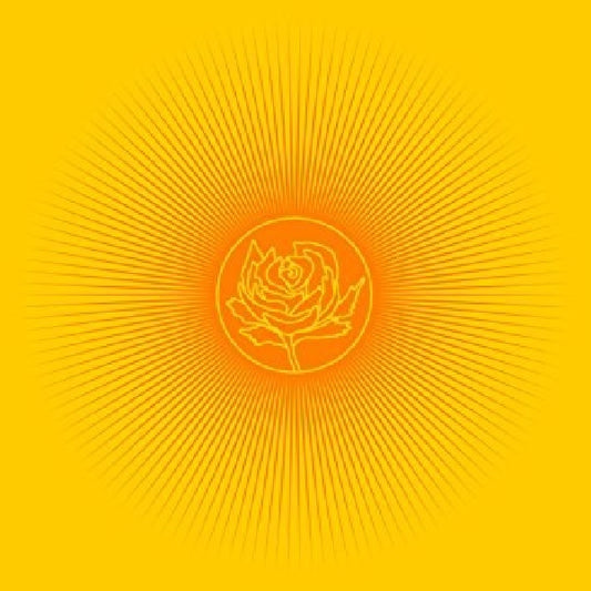 Ryan Adams - Easy tiger (Limited Edition On Orange Vinyl, Coloured Vinyl LP)