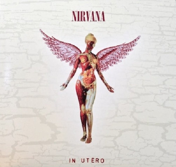 Nirvana - In utero -20th anniversary (.. Anniversary // Super Deluxe Edition, Limited Edition, Deluxe Edition LP)