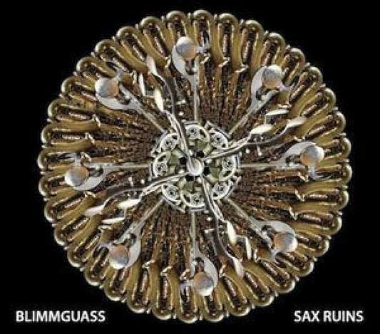 Sax Ruins - Blimmguass (CD)