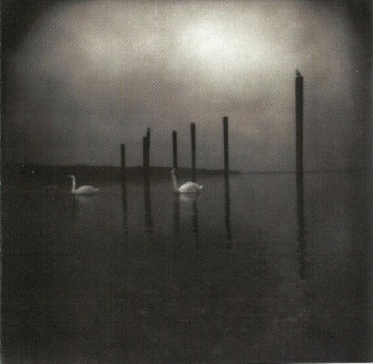 Om - Conference of the birds (Sleep's Rhythm Section. Prod: Billy Anderson(Melvins) CD)