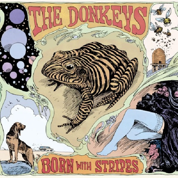 Donkeys - Born with stripes (CD)