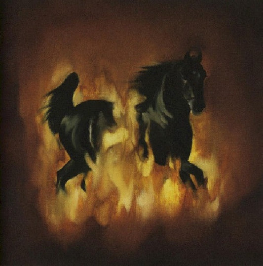 Besnard Lakes - Are the dark horse (CD)