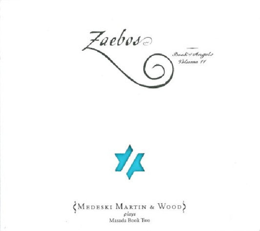Martin Medeski & Wood - Zeabos:book of angels 11 (CD)