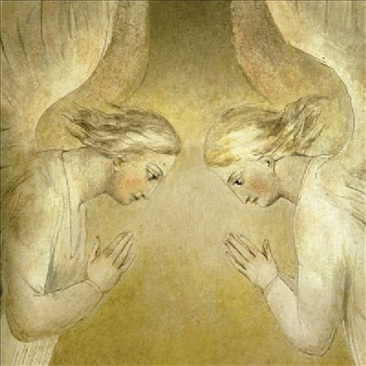 John Zorn - Vision in blakelight (CD)