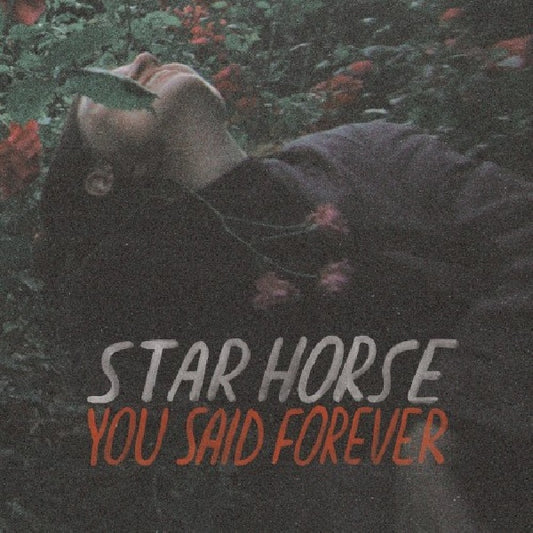 Star Horse - You said forever (LP)