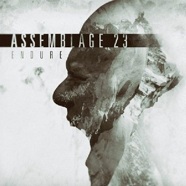 Assemblage 23 - Endure (CD)