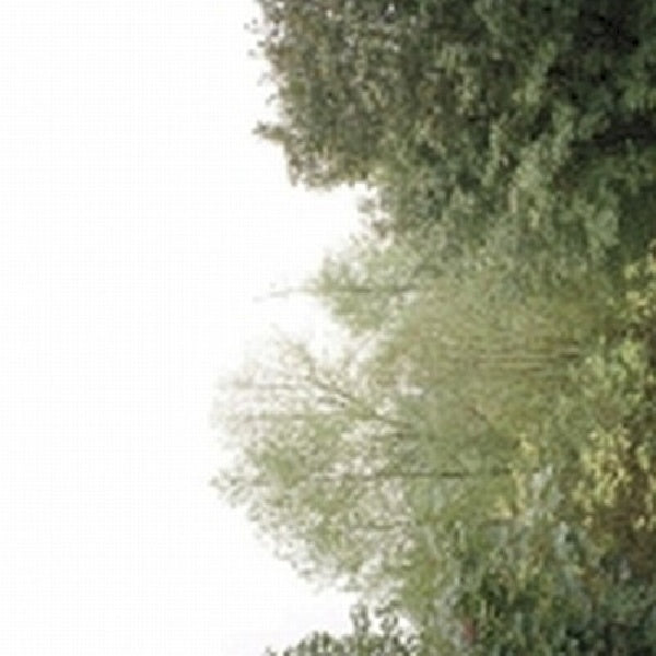 Growing - Soul of the rainbow & the (.. the Hamony of Light CD)