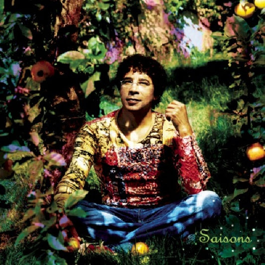 Laurent Voulzy - Saisons, le double best of (CD)