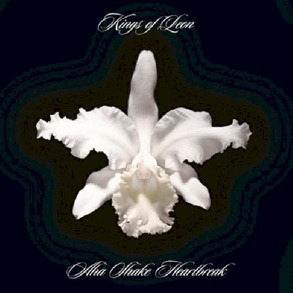 Kings of Leon - A-ha shake heartbreak (3031261 CD)