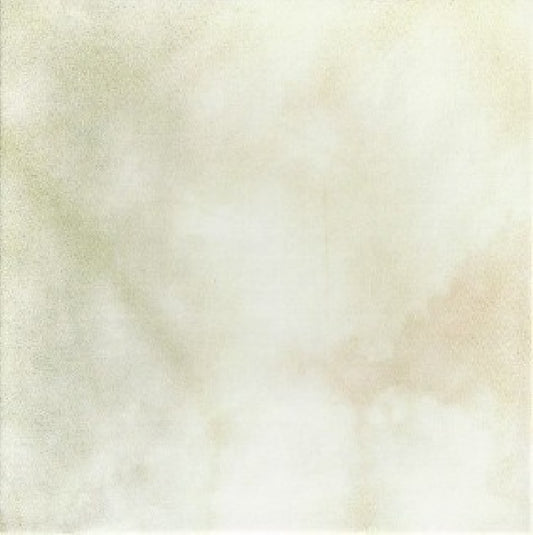 Taylor Deupree - Faint (CD)