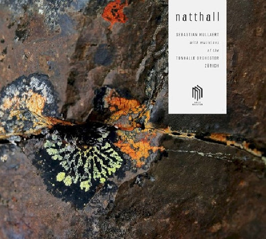 Sebastian Mullaert - Natthall (Tonhalle Orchester Zurich CD)