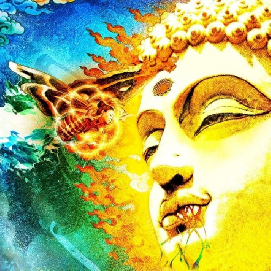 Rikard Sjöblom S Gungfly - On her journey to the sun (.. the Sun / Rikard Sjoblom / Cd2 Best of Gungfly, Special Edition, Digipak CD)