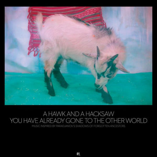 A Hawk And A Hacksaw - You have already gone to the other world (CD)