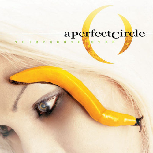 A Perfect Circle - Thirteenth step (CD)