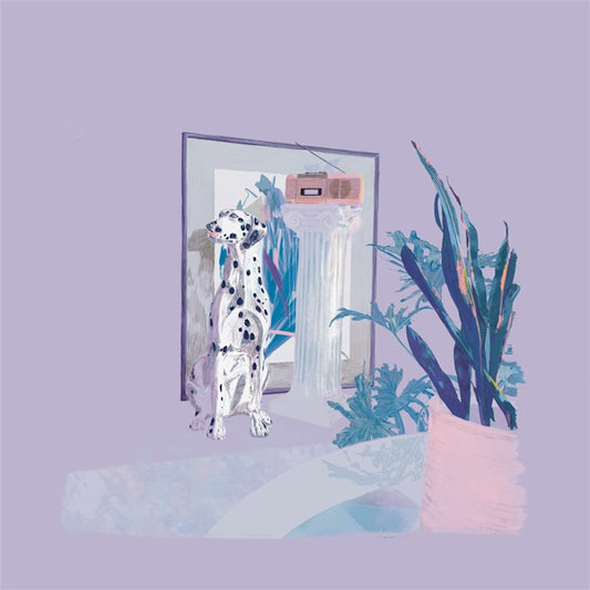 Abracadabra - Shapes & colors (LP)