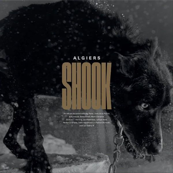 Algiers - Shook (Gold Vinyl, Coloured Vinyl LP)